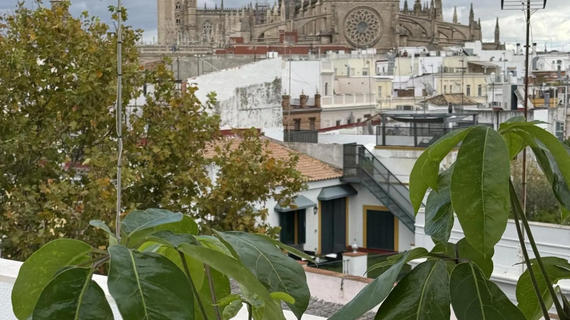 Misterhost Luxury Penthouse Arenal Apartment Seville